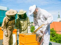 ノルディック ホテル フォーラム 写真