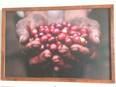 コフィア ガーデン カフェ & ステイ 写真