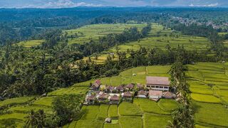 タンタ エスケープ