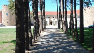 Palace Hotel & Spa Termas de Santiago