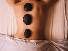 ザ ウィルコックス 写真