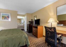 クオリティ イン レバノン 写真