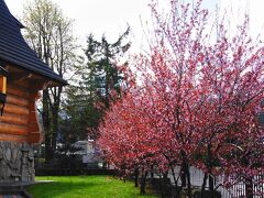 Pensjonat i Restauracja Zakopiański Dwór 写真