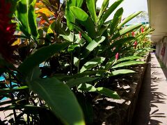 パシフィック マリーナ イン エアポート ホテル 写真