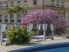 Guaraní Esplendor 写真