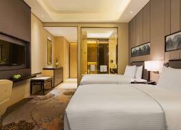 ワンダ レルム竜岩 写真