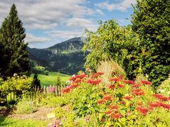 Hotel Apartments Alpenrose 写真