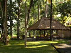 ディ ウブド ヴィレッジ リゾート 写真