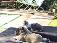 Hedge House Guest House 写真