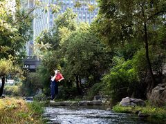 アロフト ソウル ミョンドン 写真