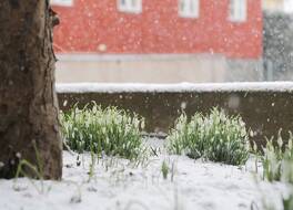 Hotell Conrad 写真