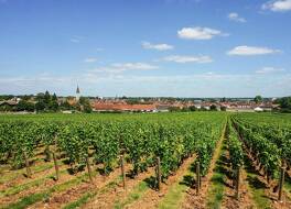 イビス バジェット ニュイ サン ジョルジュ 写真