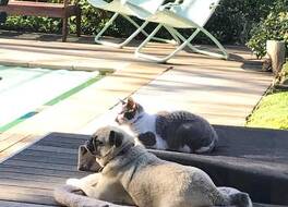 Hedge House Guest House 写真