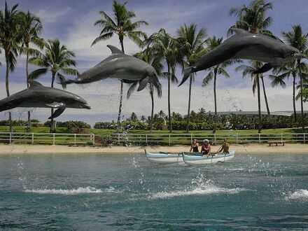 Hilton Waikoloa Village 写真