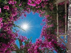 アトランティス ビーチ ヴィラ 写真