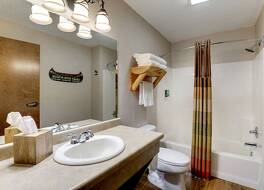 ストーニー クリーク ホテル クアッド シティーズ - モリーン 写真