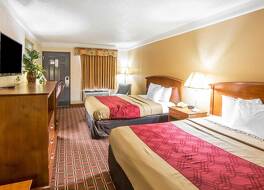 エコノ ロッジ ノックスビル ノース 写真