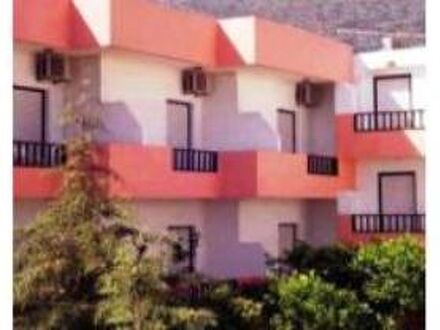 ティスヴィ 写真