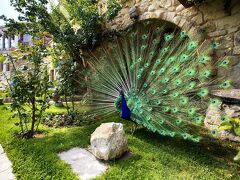 ミュージアム オテル - ルレ & シャトー 写真