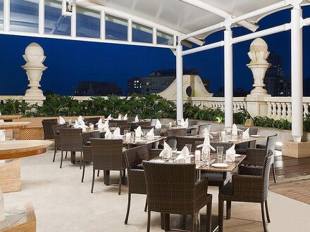 メルハ ザ ファーン 写真