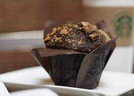 シカゴ マリオット ノースウェスト 写真