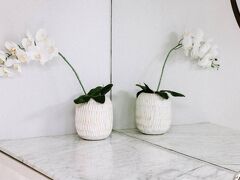 メノ ハウス 写真