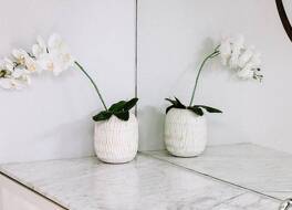 メノ ハウス 写真