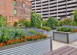 Hotel Indigo Detroit Downtown, an IHG Hotel By IHG 写真