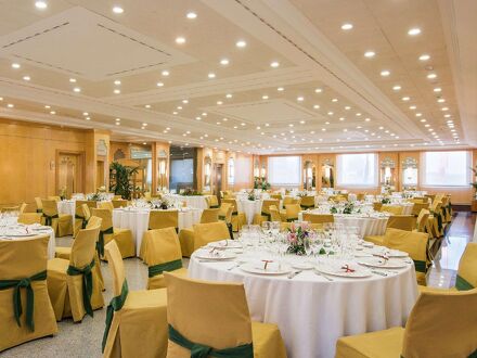 VP ハルディン メトロポリターノ 写真