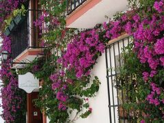 ラ ヴィラ マルベージャ 写真