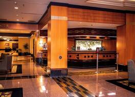 パラダイス 写真