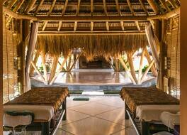 マリンギスンバ 写真