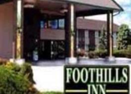 フットヒルズ イン