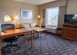 ハンプトン イン&スイーツ シカゴ ディアー パーク 写真