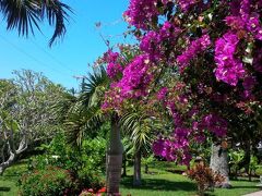 ロイヤル パームス ホテル 写真