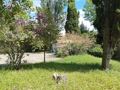 ノエミーズアルル 写真