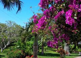 ロイヤル パームス ホテル 写真