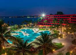 ロイヤル チューリップ ブラジリア アルボラーダ