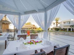 シーベル アラデン 写真