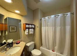 シュアステイ バイ ベストウェスタン フォーサイス ディケーター 写真