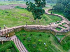 モモ イン 写真