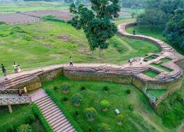 モモ イン 写真