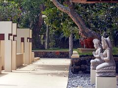 アリラ マンギス 写真