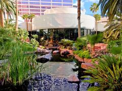 フラミンゴ ラスベガス 写真