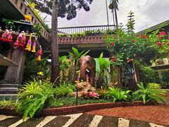 ファン チャン マイ 写真