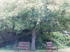 メラレウカ モーテル 写真