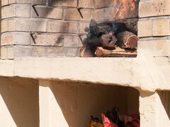 ア サンフラワー ストップ バックパッカーズ 写真