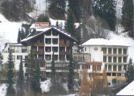 Wohlfühl- & Genusshotel Felsenhof 写真