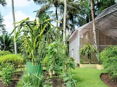 ヴァイスロイ バリ 写真