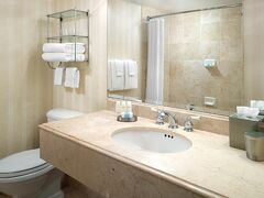 オムニ ショーラム ホテル 写真